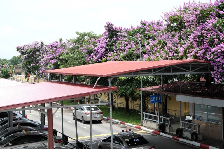 Đội ngũ xe tập lái